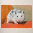 Pesquisar por hamster branco casa presentes Bonito