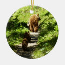 Pesquisar por mãe natureza ornamentos Qualquer pessoa