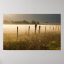 Pesquisar por nevoento fotografia Rural