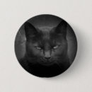 Pesquisar por animal louco botons Gato