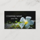 Pesquisar por flor havaiana cartao de visita Havaí