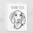 Pesquisar por desenho do cão cartoes Para pets
