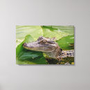 Pesquisar por jacaré impressão de canvas Animal