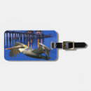 Pesquisar por pelicano bagagem tags Cais