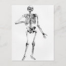 Pesquisar por anatomy cartoes postais Anatomical