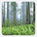 Pesquisar por pn adesivos Natureza
