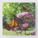 Pesquisar por monarca relogios de parede Borboletas monarcas