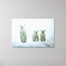 Pesquisar por curiosidade impressão de canvas Animal