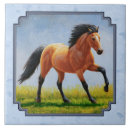 Pesquisar por com cavalos azulejos Equino