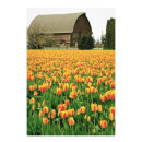 Pesquisar por festivais pôsteres pósteres Cor