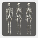Pesquisar por anatomia adesivos Gótico