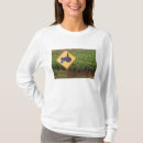 Pesquisar por trator amarelo camisetas Fazenda
