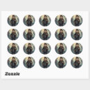 Pesquisar por capybara adesivos Engraçado