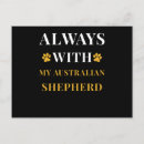 Pesquisar por australian cartoes postais Pastor australiano