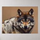 Pesquisar por lobos pósteres Cão