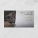 Pesquisar por gracioso cartao de visita Gato