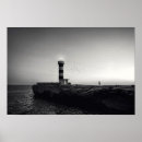 Pesquisar por pássaros de mar pôsteres pósteres Farol