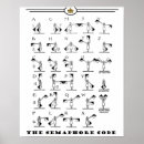 Pesquisar por escuteiros Para ela