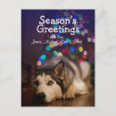 Pesquisar por natal cão cartoes postais Interior