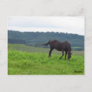 Pesquisar por rancho cartoes postais Fazenda