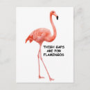 Pesquisar por flamingo cartoes postais Fofofo