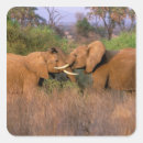 Pesquisar por kenya adesivos Safari