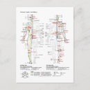 Pesquisar por diagrama cartoes postais Humano