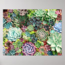 Pesquisar por flores decorativas pôsteres pósteres Qualquer pessoa