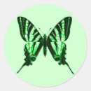 Pesquisar por borboleta verde adesivos Vintage