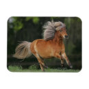 Pesquisar por miniaturas imas Bob langrish