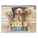 Pesquisar por filhotes de cachorro calendarios Retriever