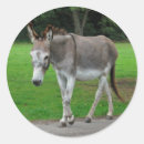 Pesquisar por mulas mulas adesivos Natureza