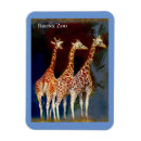 Pesquisar por zoo imas Girafa