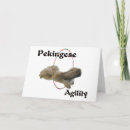 Pesquisar por pekingese cartoes Espiada