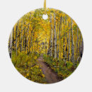 Pesquisar por trilha ornamentos Caminhada