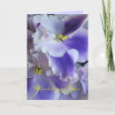 Pesquisar por violetas africanas cartoes Flores