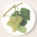 Pesquisar por uva porta copos Uvas verdes