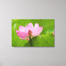 Pesquisar por flutuante impressão de canvas Flor