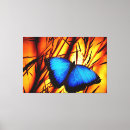 Pesquisar por butterfly impressão de canvas Qualquer pessoa