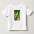 Pesquisar por costa grande camisetas Cor