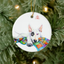 Pesquisar por bullterriers Touro