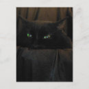 Pesquisar por gato preto olhos verdes cartoes postais Animal