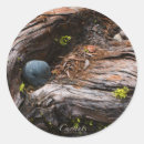 Pesquisar por correntes adesivos Natureza