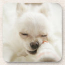 Pesquisar por sofá porta copos Animal