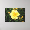 Pesquisar por flor narciso impressão de canvas Jardim