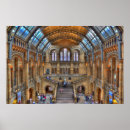 Pesquisar por história natural pôsteres pósteres Londres