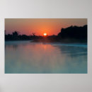 Pesquisar por nascer do sol pósteres Selva