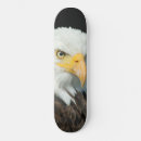 Pesquisar por eagle skates Águia