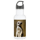 Pesquisar por suricate Suricata