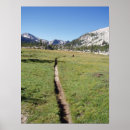Pesquisar por backpacking fotografia Caminhada